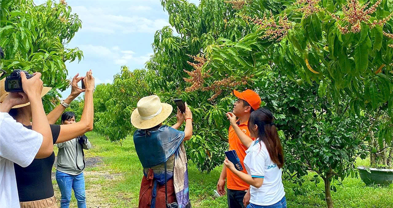 Dự án khu du lịch nghỉ dưỡng dưới tán rừng