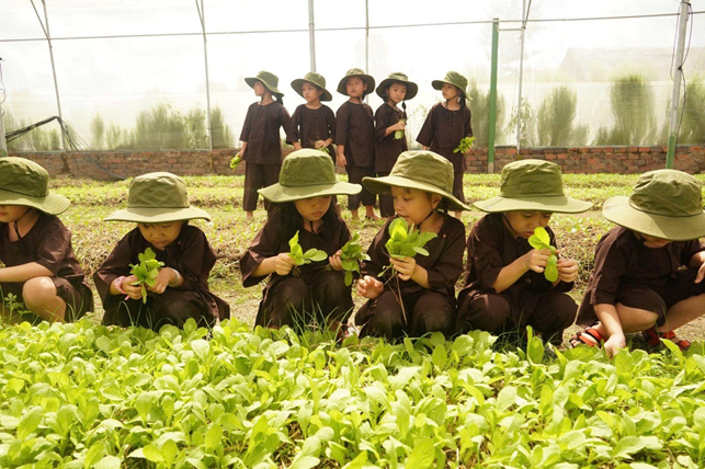 Dự án mô hình nông nghiệp kết hợp giáo dục trải nghiệm