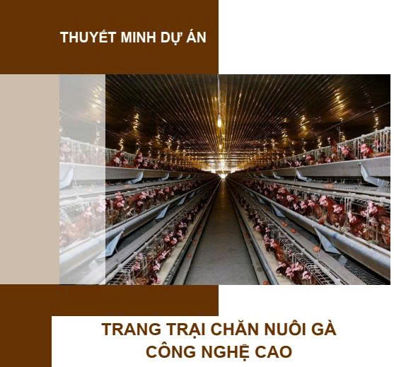 Dự án trang trại chăn nuôi gà công nghệ cao