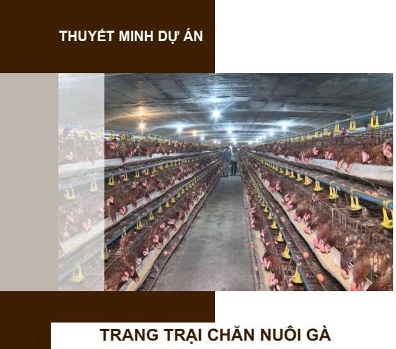 Dự án trang trại chăn nuôi gà Hà My