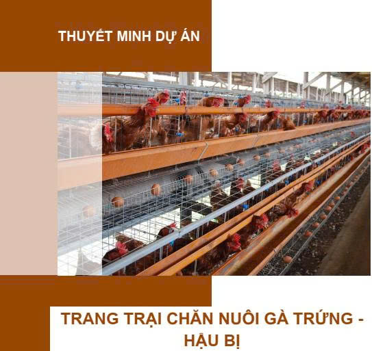 Dự án trang trại chăn nuôi gà trứng - Hậu Bị