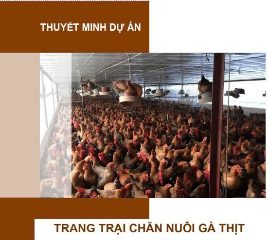 Dự án trang trại chăn nuôi gà thịt