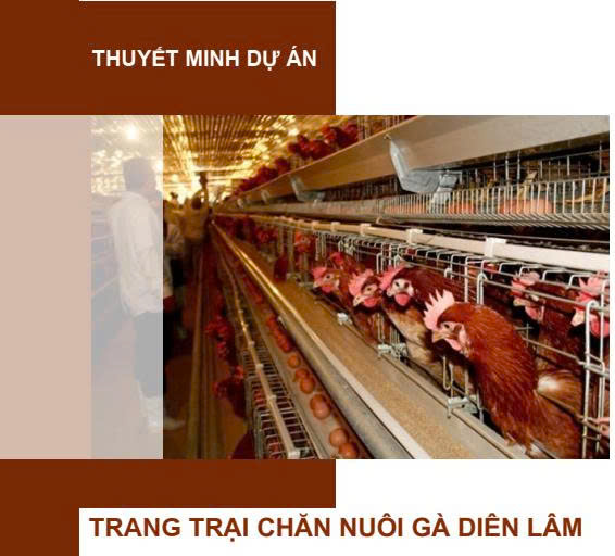 Dự án trang trại chăn nuôi gà Diên Lâm