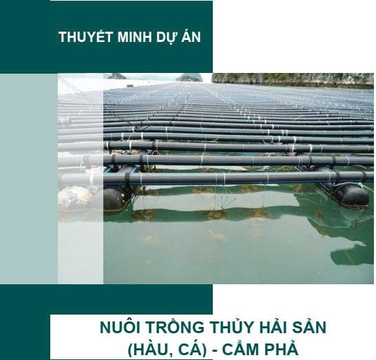 Dự án nuôi trồng thủy hải sản (hàu, cá) - Cẩm Phả