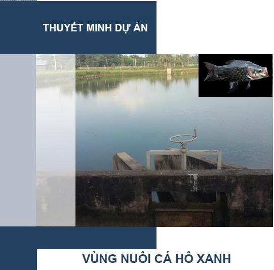 Dự án vùng nuôi cá hô xanh