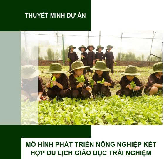 Dự án mô hình phát triển nông nghiệp kết hợp du lịch giáo dục trải nghiệm