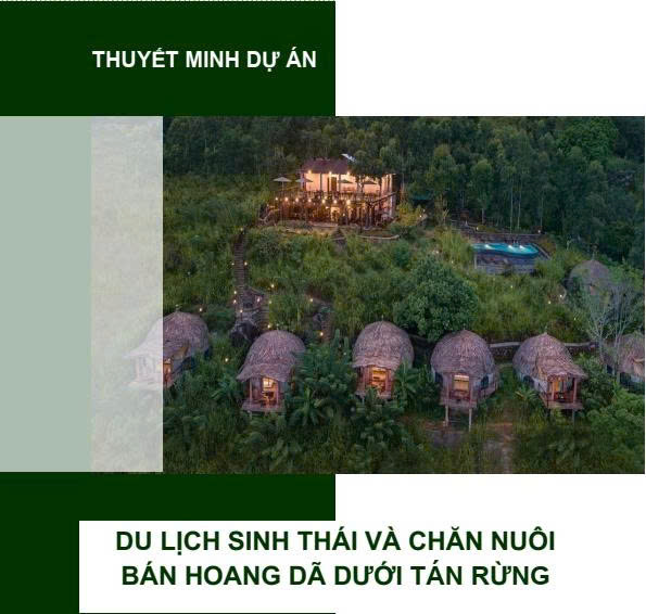 Dự án du lịch sinh thái và chăn nuôi bán hoang dã dưới tán rừng