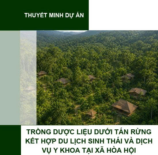 Dự án trồng dược liệu dưới tán rừng kết hợp DLST và dịch vụ y khoa tại xã Hòa Hội
