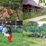 Dự án nông trại giáo dục